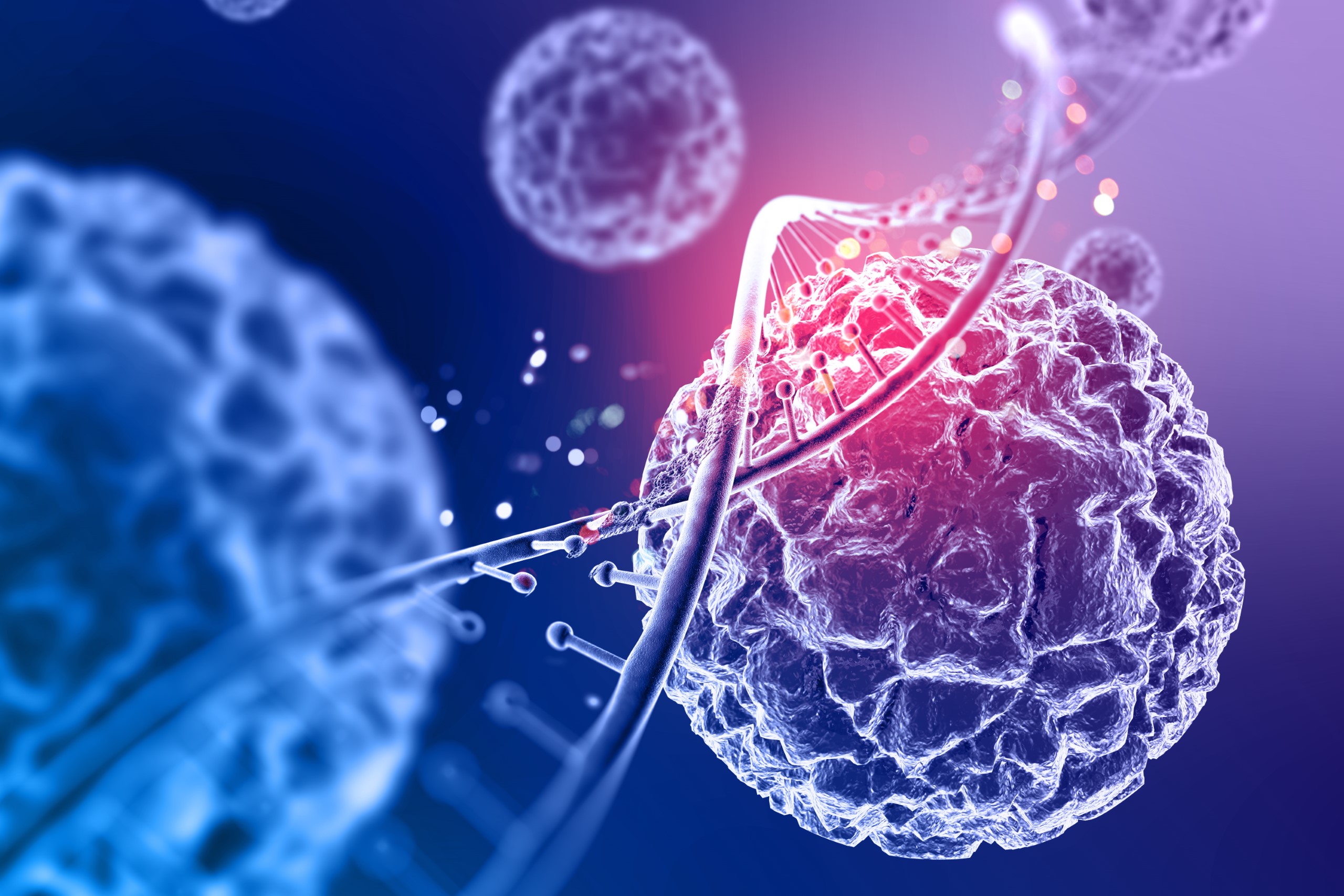 Biochemistry and Lab Course