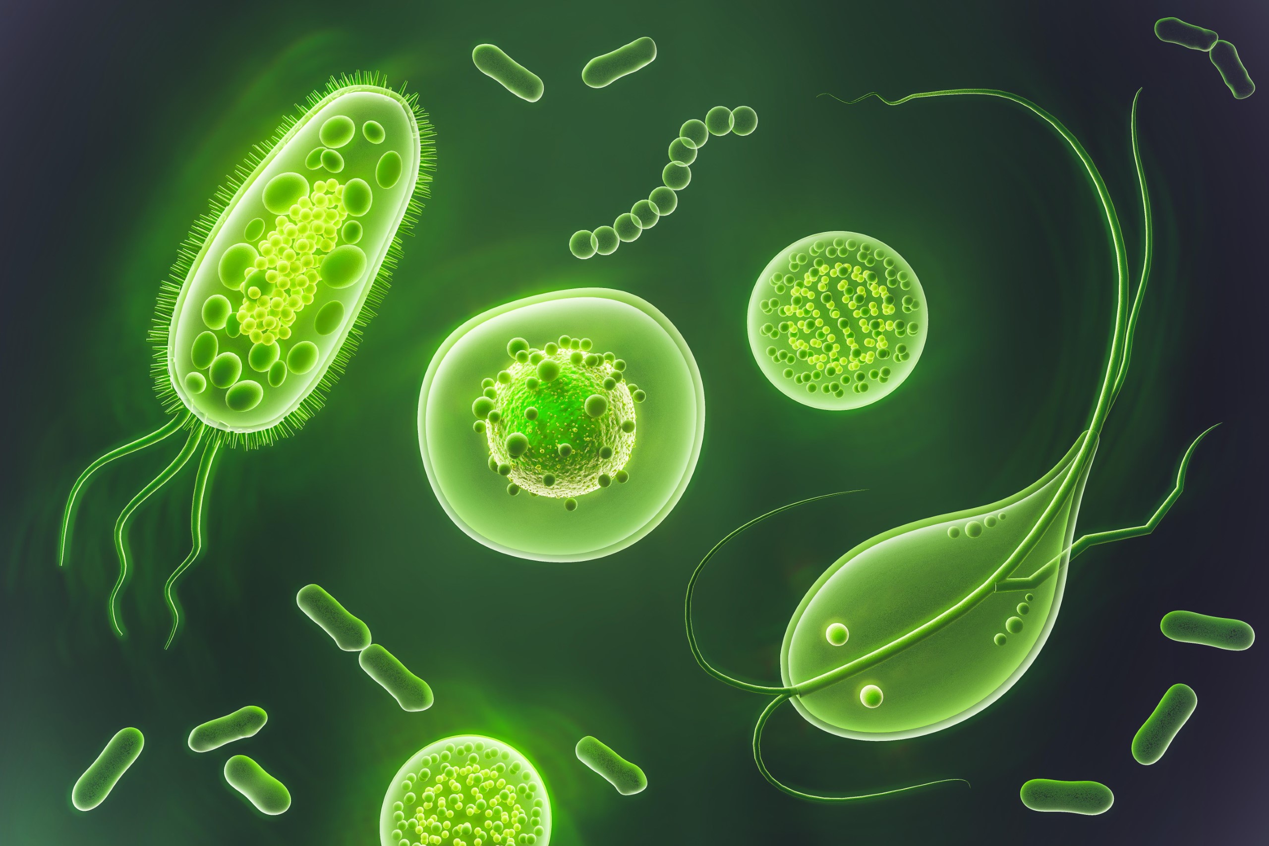 Naturopathic Treatments of Microorganisms